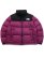 画像1: 【送料無料】THE NORTH FACE WMNS SHORT NUPTSE JACKET (1)