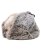 画像5: 【送料無料】KANGOL MULTI FAUX FUR TRAPPER (5)