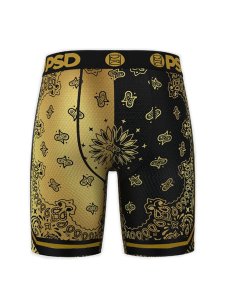 画像2: PSD WF GOLDEN BOXER BRIEF MULTI (2)