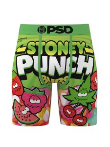 画像1: PSD STONEY BUDS BOXER BRIEF MULTI (1)