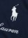 画像3: 【送料無料】POLO RALPH LAUREN BIG PONY 20TH ANNIVERSARY HOODIE (3)