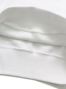 画像5: 【送料無料】POLO RALPH LAUREN FLAG FLEECE HOODIE (5)