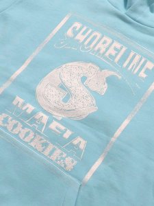 画像3: 【送料無料】COOKIES CLOTHING SHORELINE PULLOVER HOODIE CAROLINA BLUE (3)