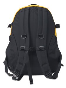 画像2: 【送料無料】THE NORTH FACE KINKAJOU (2)