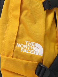 画像5: 【送料無料】THE NORTH FACE KINKAJOU (5)