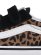 画像8: 【KIDS】VANS TD OLD SKOOL V LEOPARD BLACK/BROWN (8)