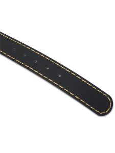 画像3: 【送料無料】TRUE RELIGION BIG T BUDDHA BUCKLE BELT BLACK/GOLD (3)