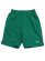 画像1: NIKE HERO STYLE 9" VOLLEY SHORT MALACHITE (1)