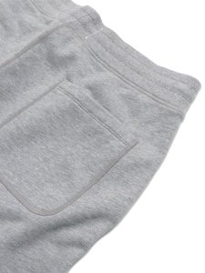 画像5: 【送料無料】REIGNING CHAMP MIDWEIGHT TERRY STANDARD SWEATSHORT 7" HGREY (5)