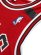 画像5: 【送料無料】MITCHELL & NESS AUTHENTIC JERSEY BULLS 91-92 #23 JORDAN (5)