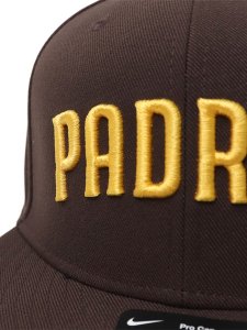 画像3: NIKE DRI-FIT TRUE STRUCTURED ROUND BILL FITTED CAP SD DARK CINDER (3)