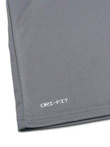 画像4: NIKE SOLID L/S HYDRO GUARD COOL GREY (4)