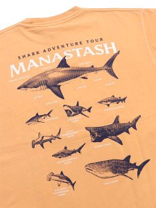画像4: MANASTASH PUMICE TEE SHARK ORANGE (4)