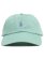 画像2: POLO RALPH LAUREN CLASSIC SPORT CAP CELADON (2)
