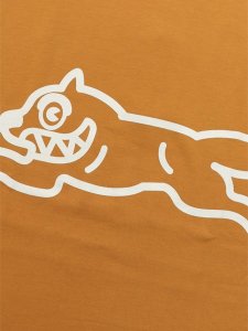 画像3: 【送料無料】ICECREAM ONLY THE FINEST TEE SUDAN BROWN (3)