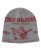 画像1: TRUE RELIGION WORLD TOUR BEANIE HEATHER GREY (1)