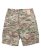 画像1: 【送料無料】LEVI'S CARRIER CARGO LIGHTWEIGHT 9" SHORTS OMBRE CAMO SOFT (1)