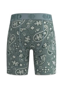 画像2: PSD MODAL MYSTIC PAISLEY TRUNKS (2)