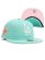 画像1: NEW ERA 59FIFTY CS DODGERS AS1959 U/PK FB TIF/WHT (1)