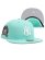 画像1: NEW ERA 59FIFTY CS YANKEES 25TH U/GY FB TIF/WHT (1)