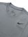 画像3: NIKE DF STD FLEX S/S TEE-SMOKE GREY/BLACK (3)