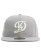 画像2: NEW ERA 59FIFTY DODGERS CC WS2025 CHAMPION GREY (2)
