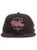 画像2: NEW ERA 59FIFTY ASG HOST CITY PHILLIES BURNT WOOD (2)