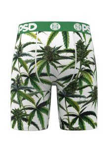 画像2: PSD BUDS & BLOOM TRUNKS (2)