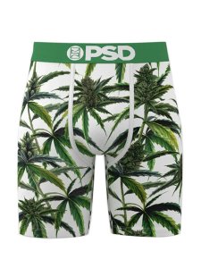 画像1: PSD BUDS & BLOOM TRUNKS (1)