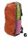 画像13: 【送料無料】COTOPAXI BATAC 16L BACKPACK DEL DIA (13)