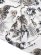 画像6: 【送料無料】AVIREX ALOHA SHIRT TIGER & BAMBOO OFF WHITE (6)