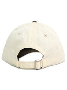 画像4: 【KIDS】NEW ERA YOUTH 9TWENTY 2-TONE YANKEES CHROME/NAVY (4)