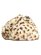 画像3: 【送料無料】KANGOL LEOPARD TRAPPER-SNOW LEOPARD (3)
