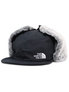 画像1: 【送料無料】THE NORTH FACE FRONTIER CAP (1)