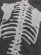 画像5: 【送料無料】VANSON ZIP HOODIE BLACK/WHITE BONE (5)