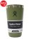 画像1: Hydro Flask DRINKWARE 16 OZ ALL AROUND TUMBLER-PALMER GREEN (1)