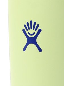 画像5: 【KIDS】Hydro Flask KIDS 18 OZ WIDE MOUTHCOVERED CAP-SEEDLING GREEN (5)