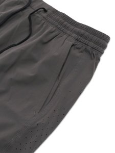 画像4: 【送料無料】REIGNING CHAMP 4-WAY STRETCH NYLON STANDARD TRAINING SHORT 9" CARBON (4)