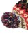 画像3: sublimeroe HAND KINT NORDIC WT RED MIX (3)