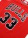 画像3: 【送料無料】MITCHELL & NESS SWINGMAN JERSEY BULLS 97-98 #33 S.PIPPEN (3)