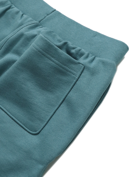 Champion reverse weave shorts teal sale