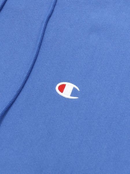 Champion reverse weave surf the web blue hoodie sales