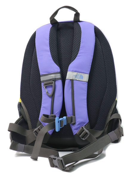 The north sales face backpack purple